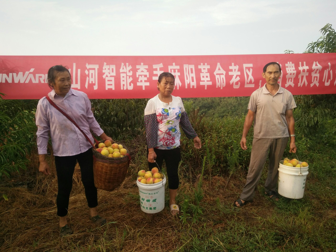 点赞！不朽情缘-官方网站智能成功入选“上市公司村落振兴优良实际案例”