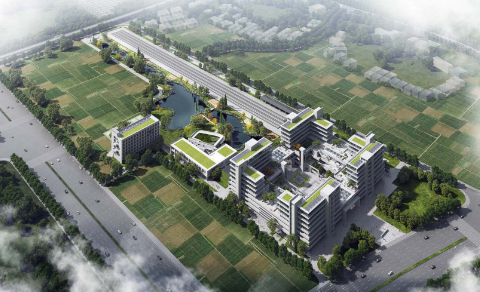 近20台“不朽情缘-官方网站绿”设备实力集结，助力广佛西环工程建设跑出“加快度”
